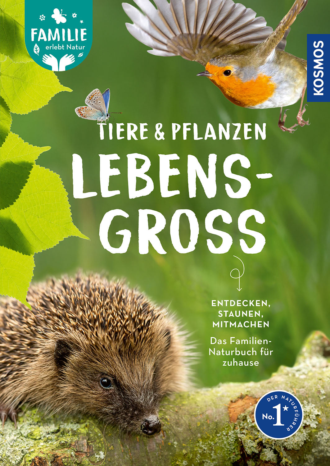 Life-sized animals and plants