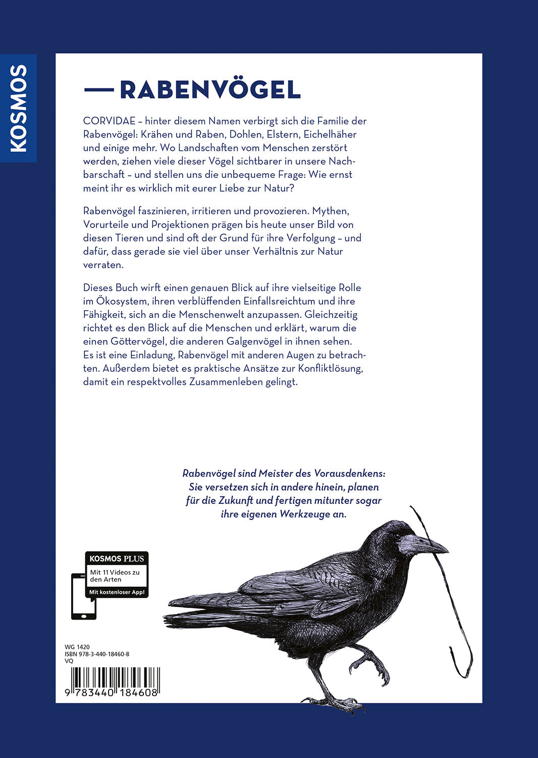 Corvidae