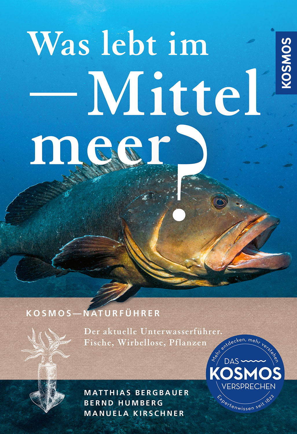 Was lebt im Mittelmeer?