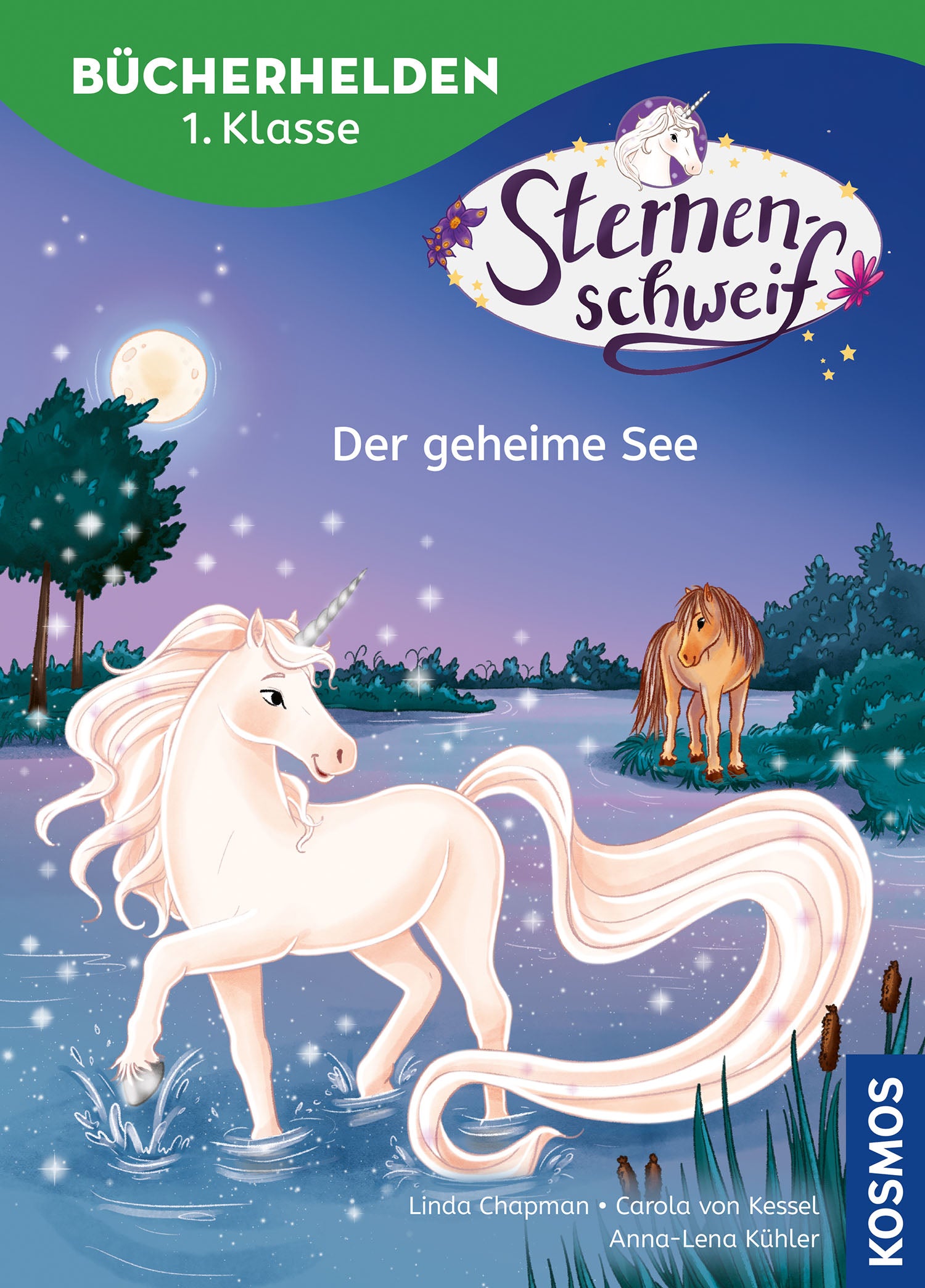 Star Tail, Book Heroes 1st Grade, The Secret Lake