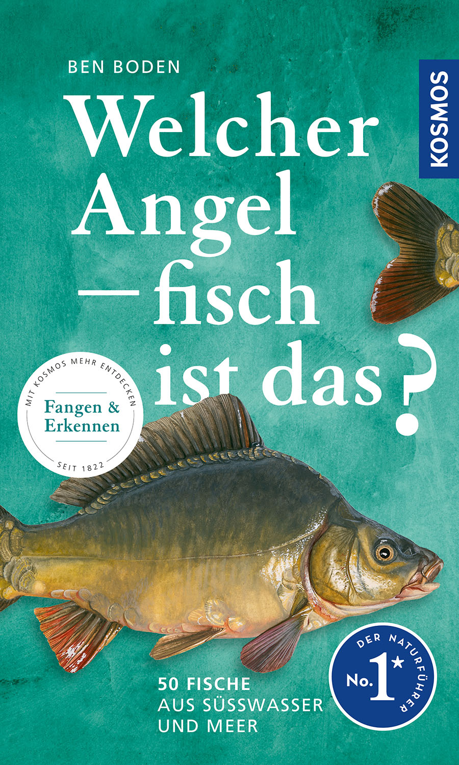 What kind of fish is that?