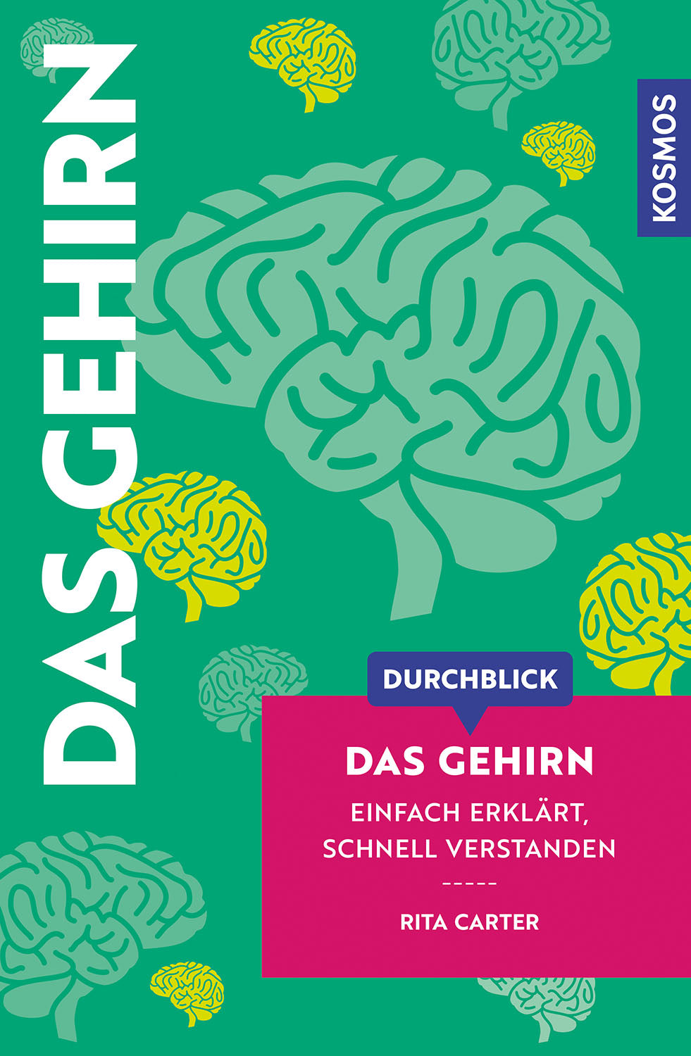 Durchblick Das Gehirn
