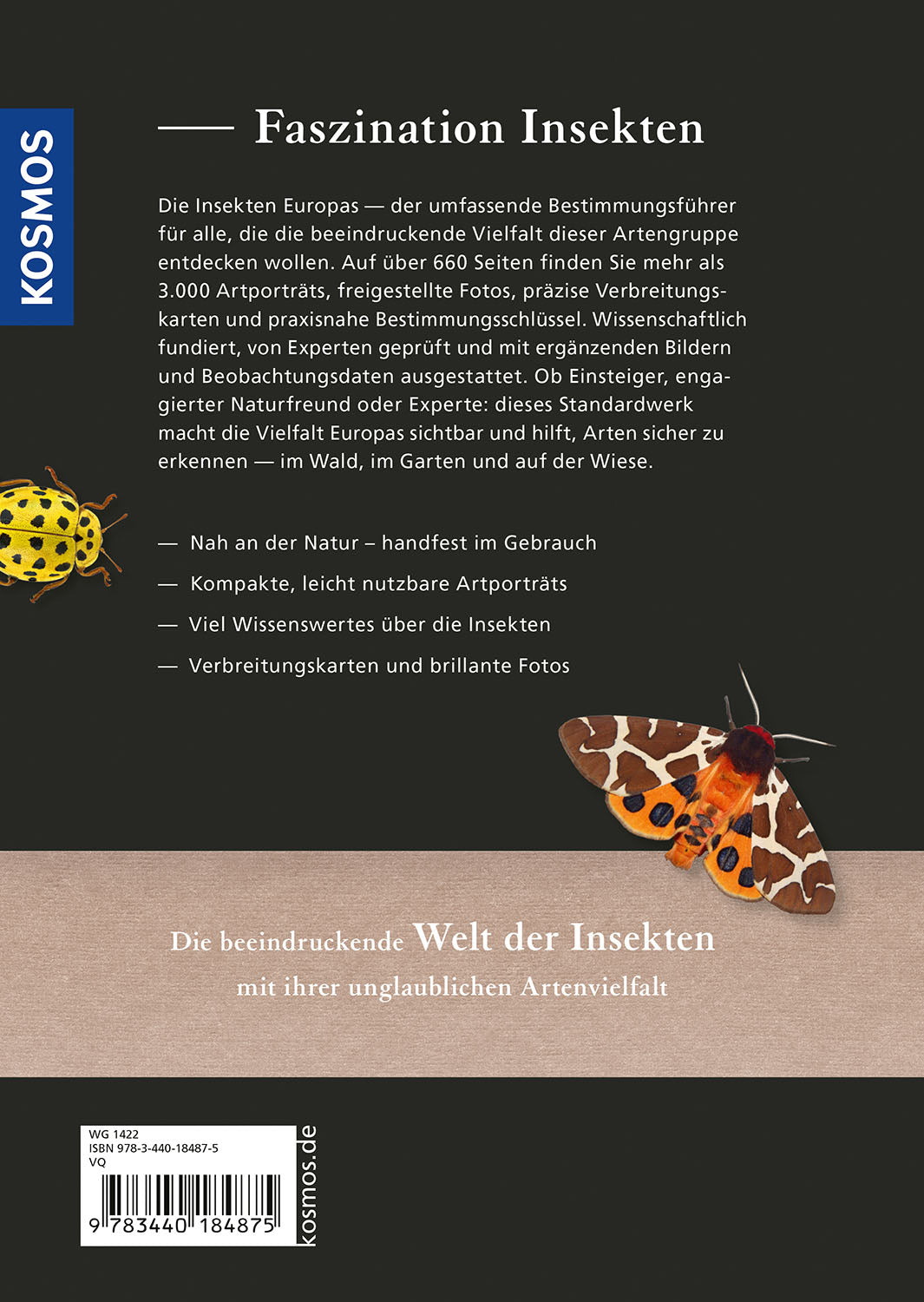 Insekten Europas