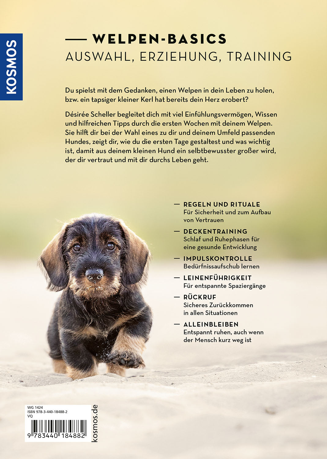 Welpen erziehen mit Erfolg