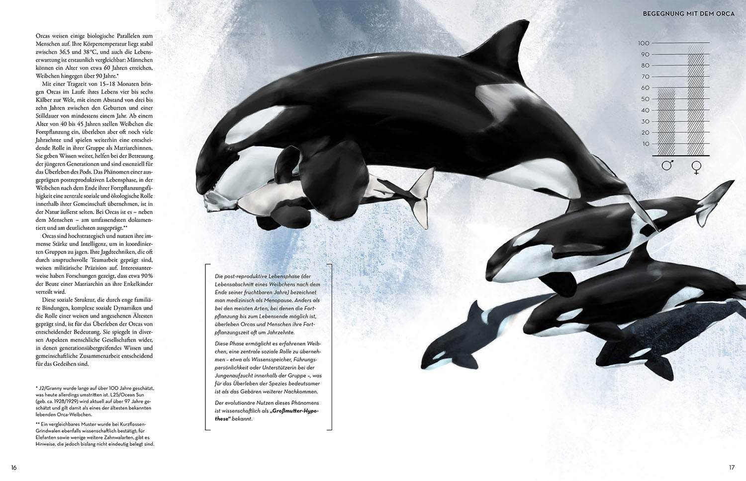Orca