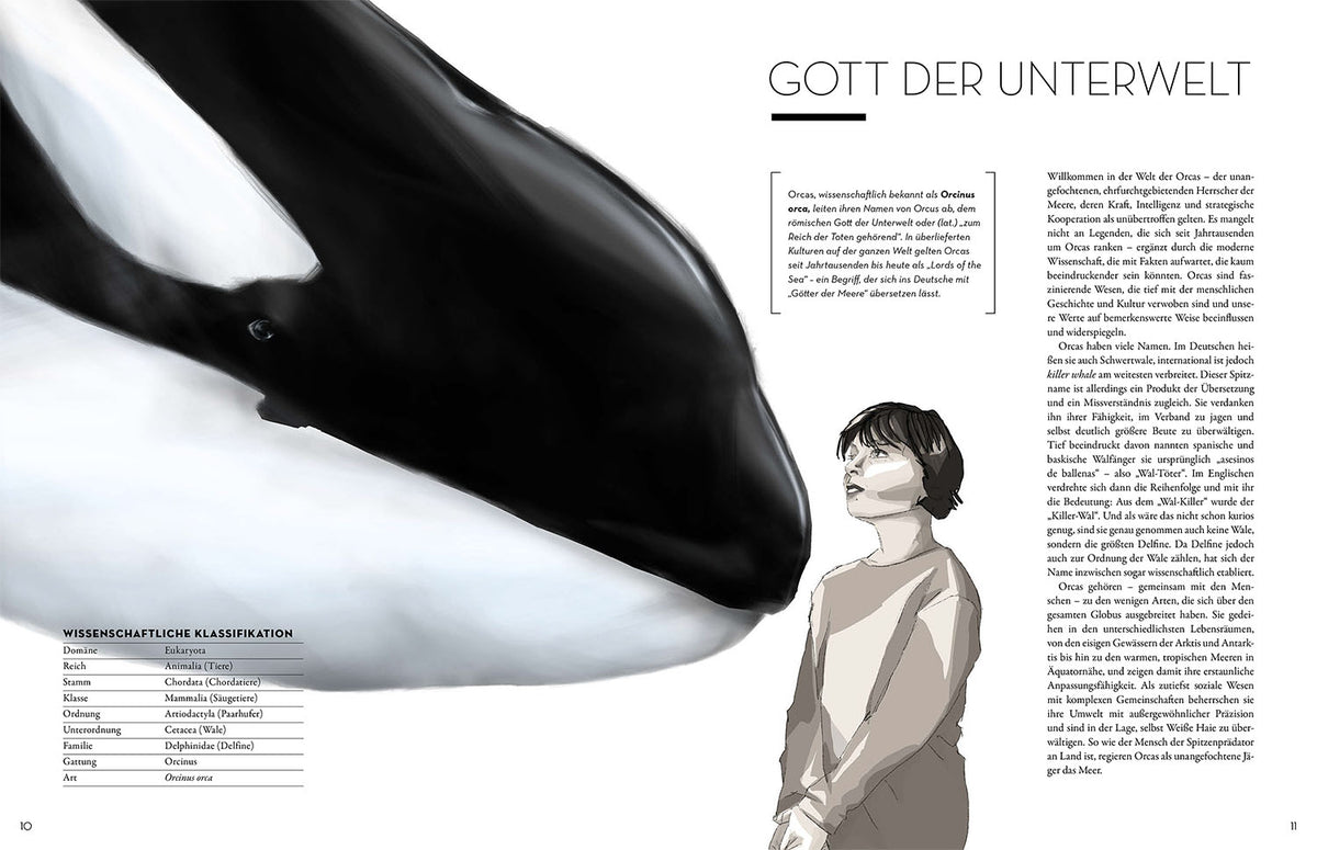 Orca