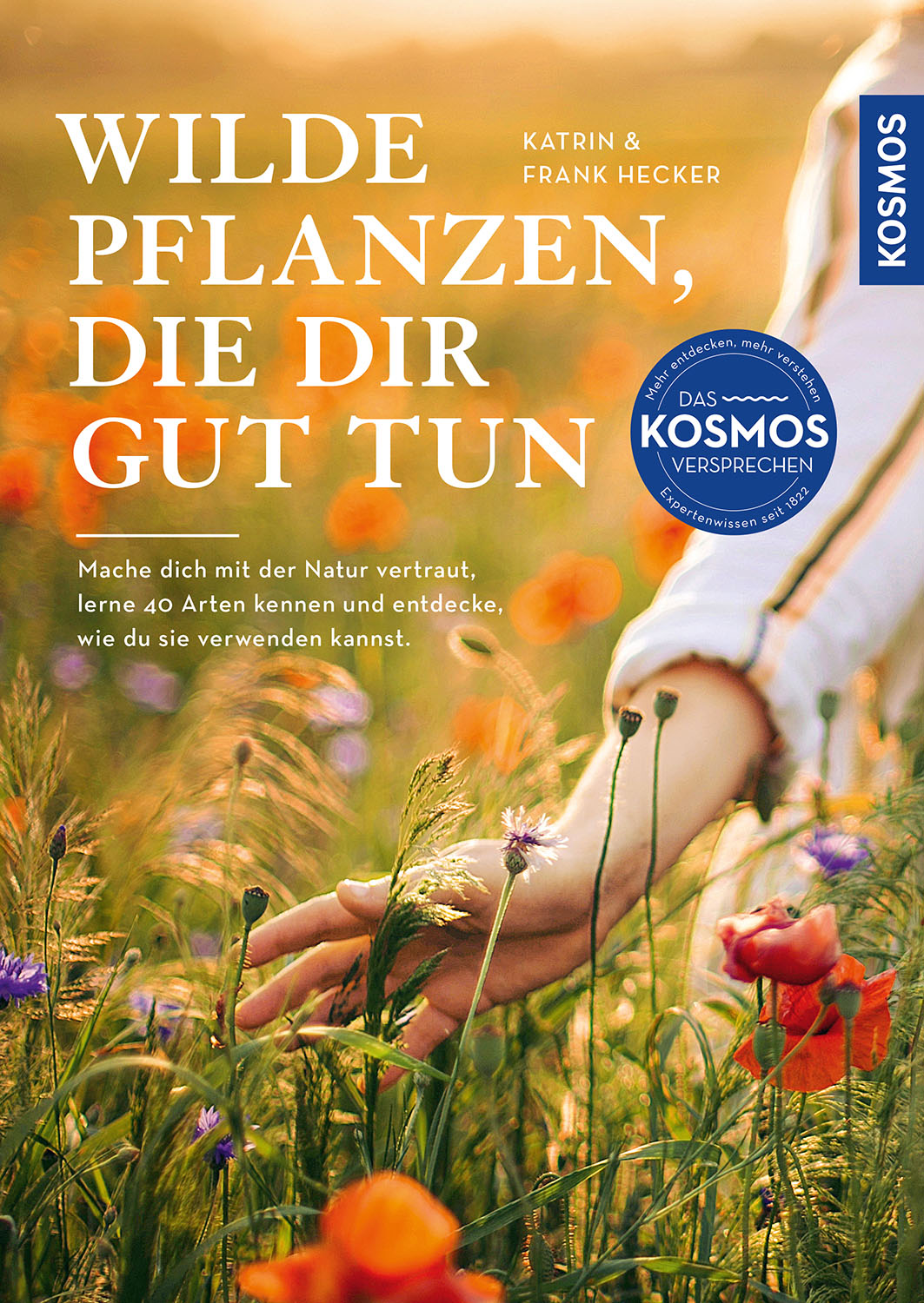 Wilde Pflanzen, die dir gut tun