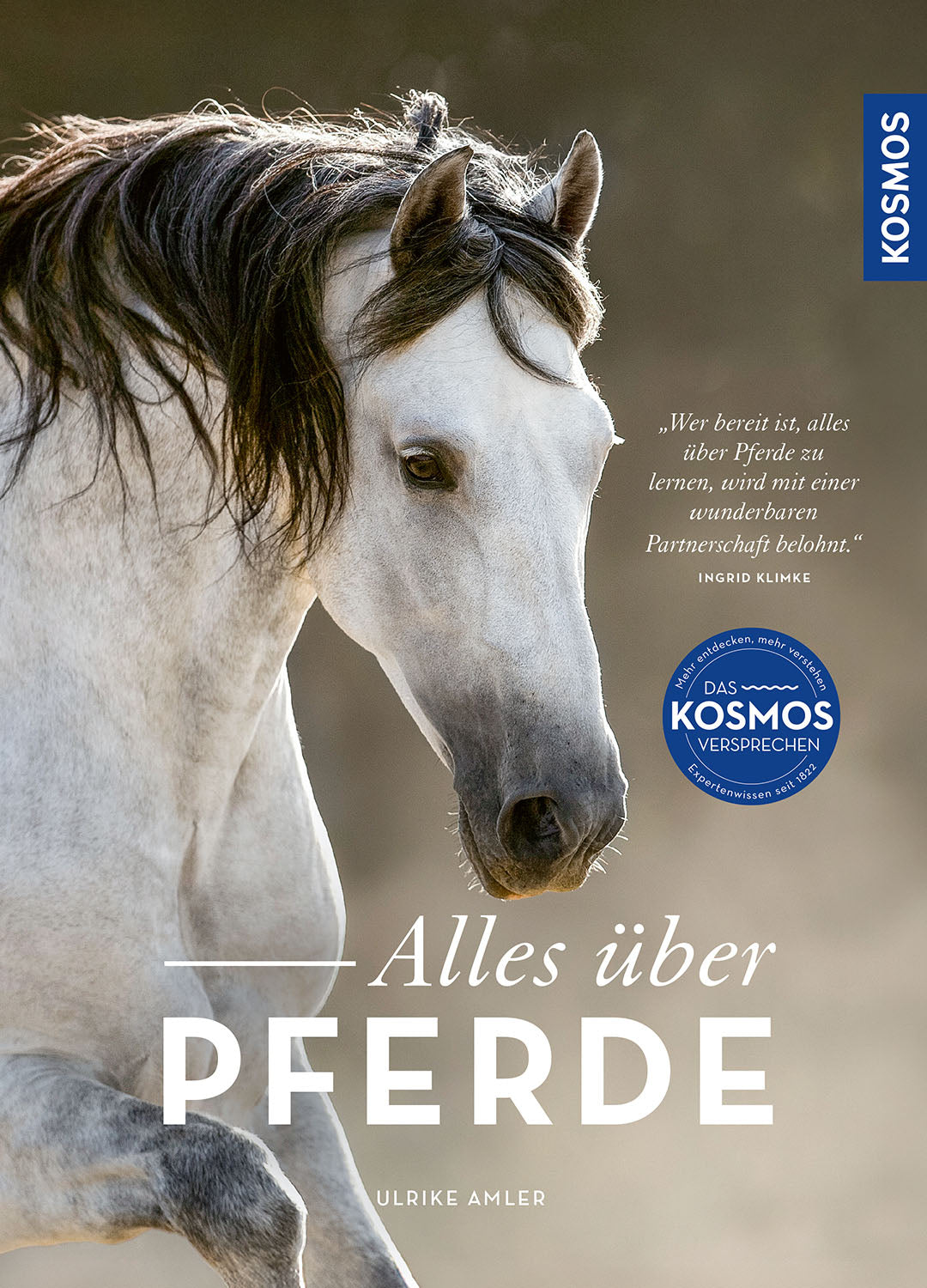 All About Horses