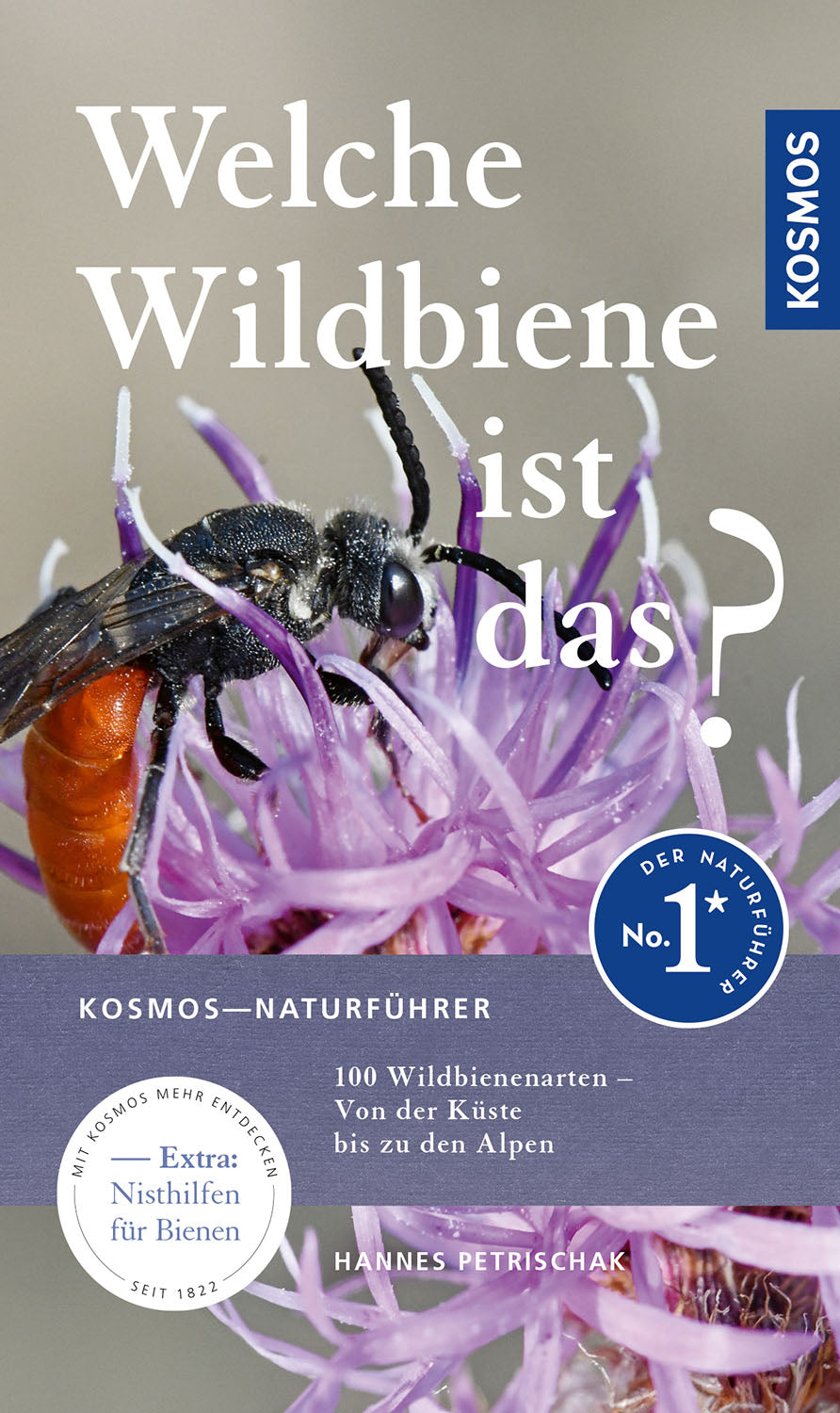 Welche Wildbiene ist das?