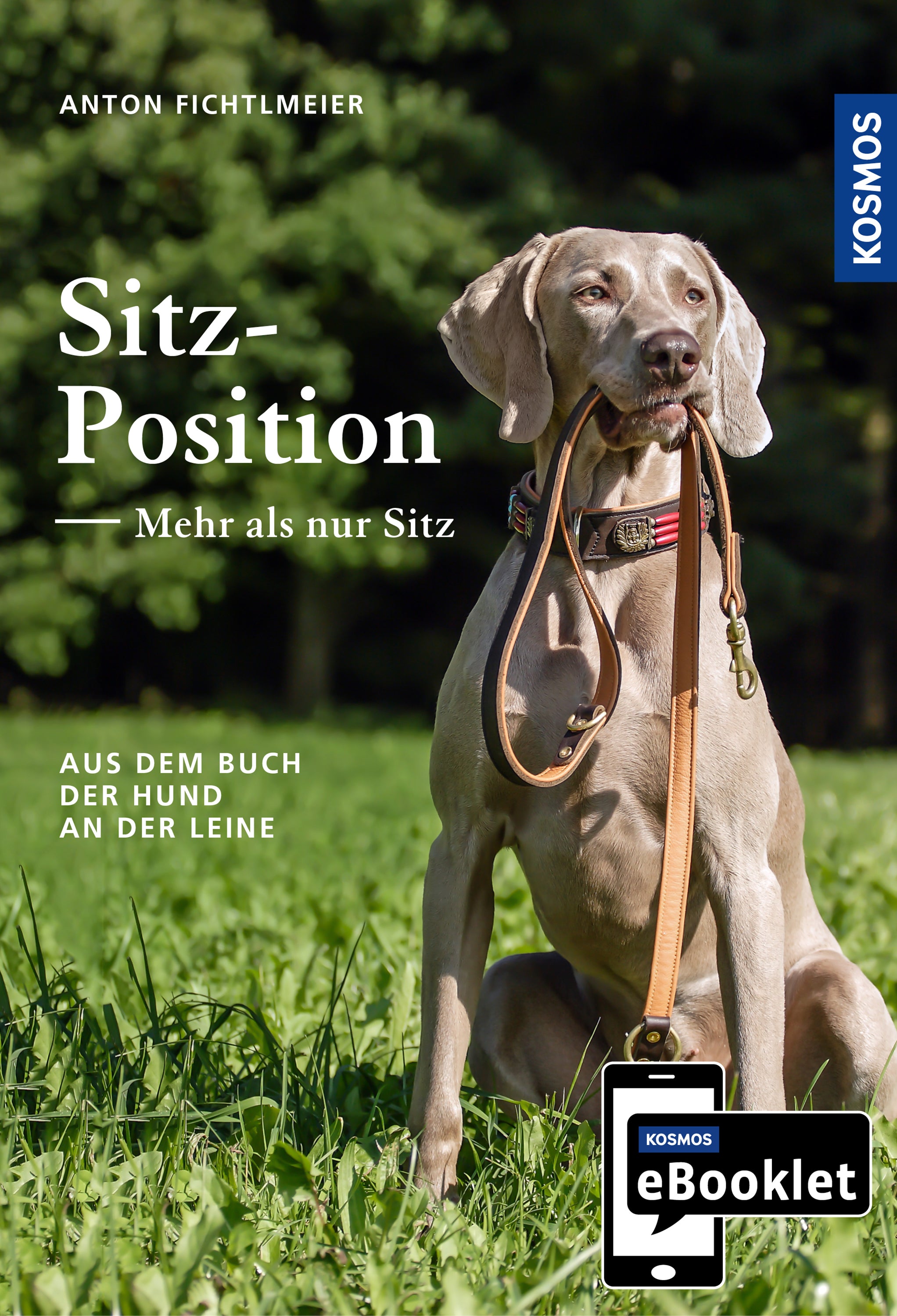 KOSMOS eBooklet: Sitzposition – Mehr als nur Sitz