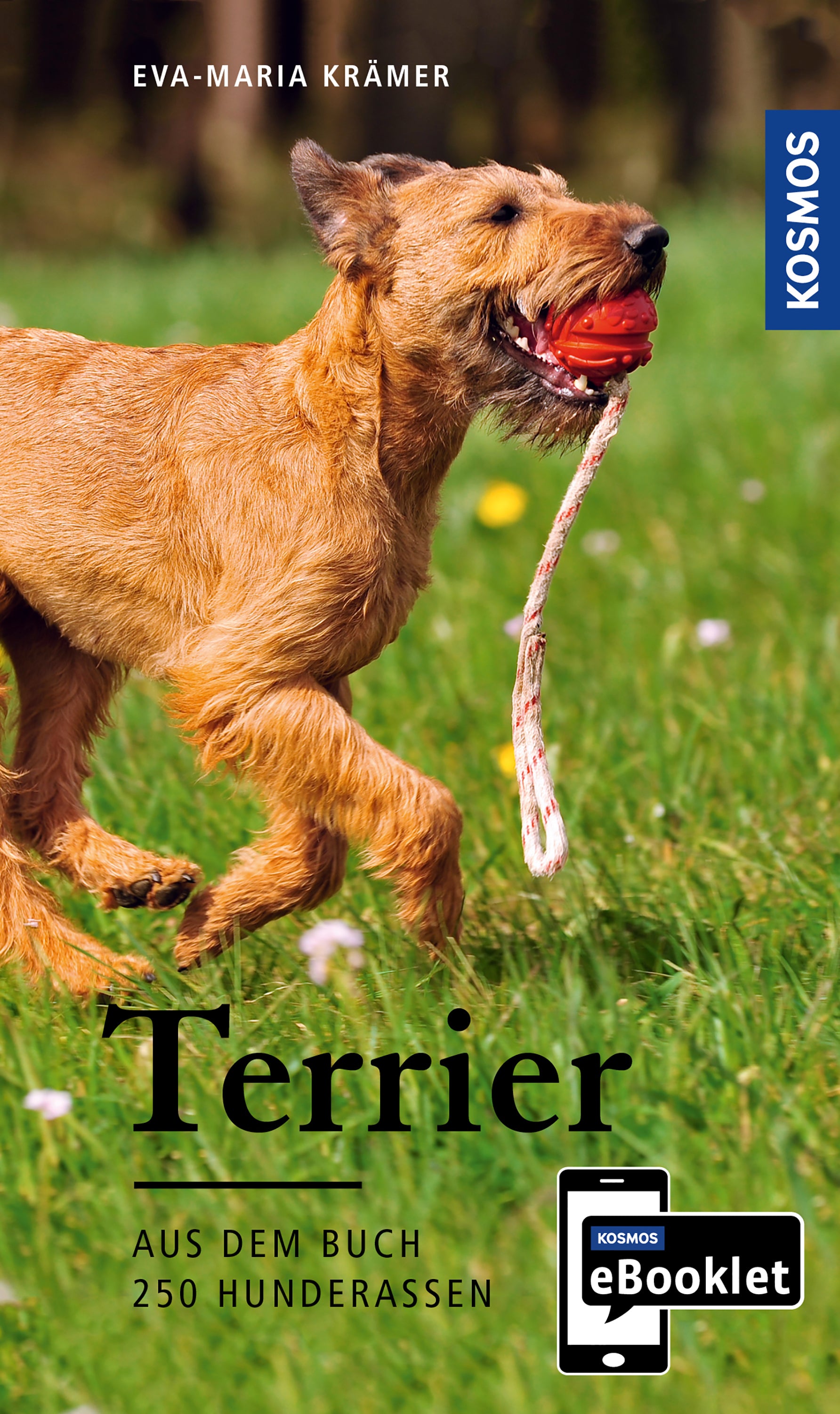 KOSMOS eBooklet: Terriers - Origin, Nature, Care