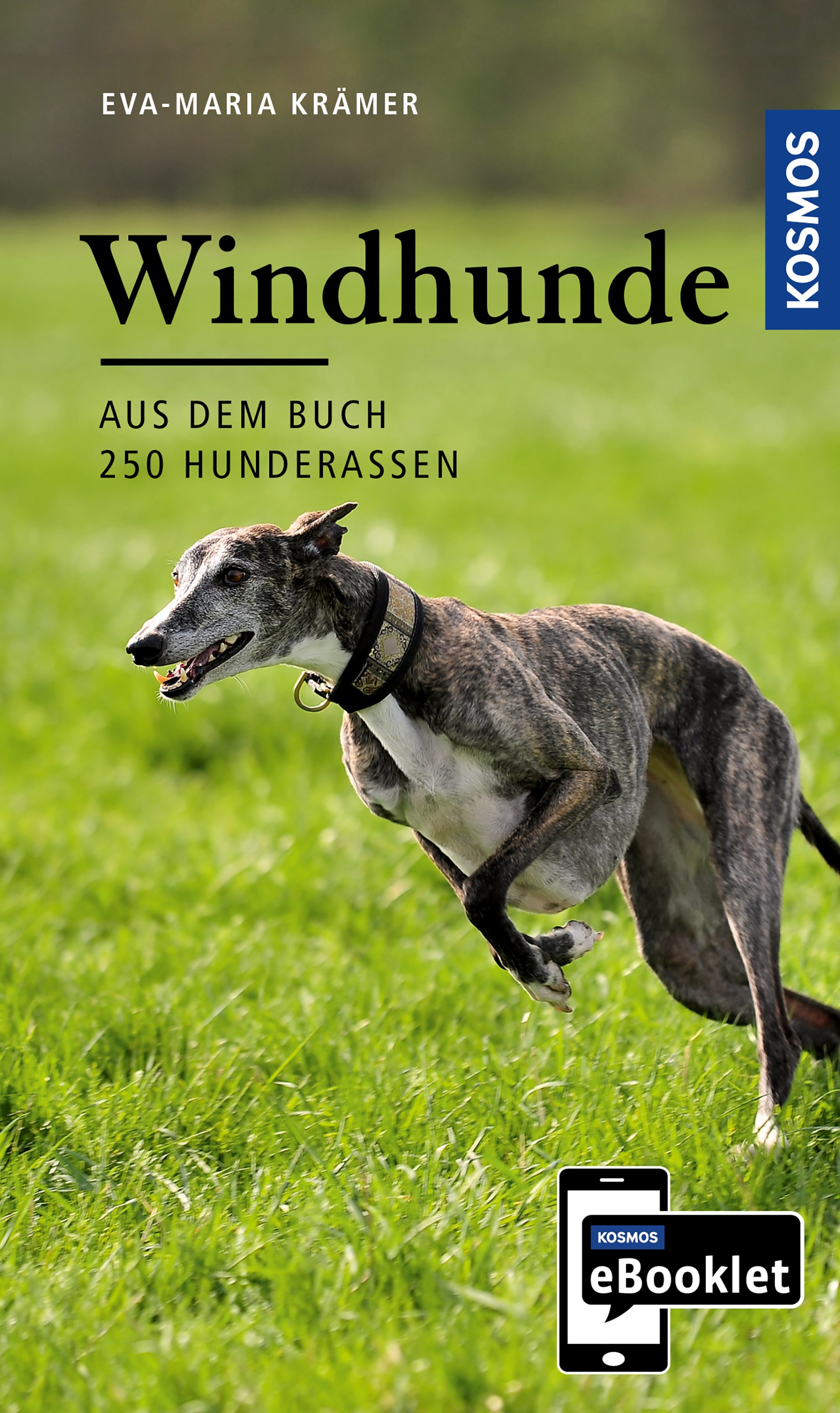 KOSMOS eBooklet: Greyhounds - Origin, Nature, Keeping