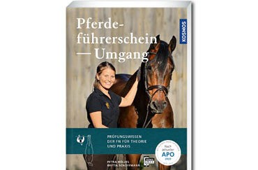 Pferdeführerschein – Umgang