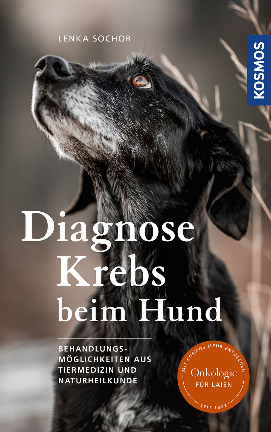 Cancer Diagnosis in Dogs