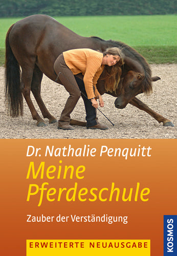 My horse riding school