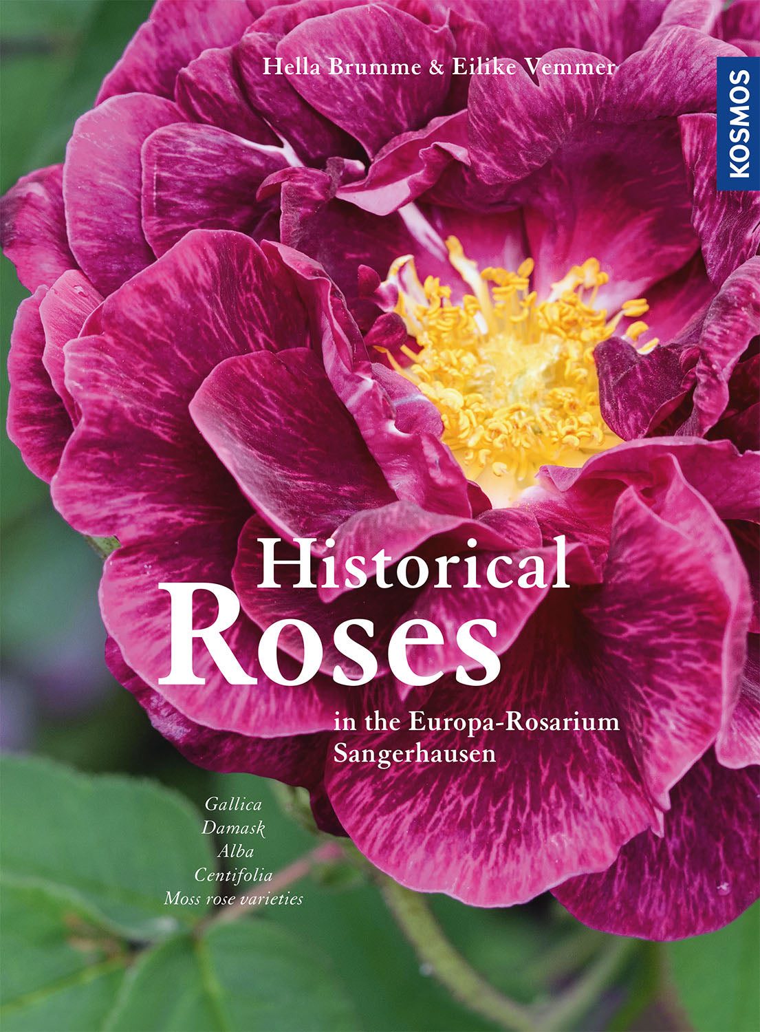 Historische Rosen