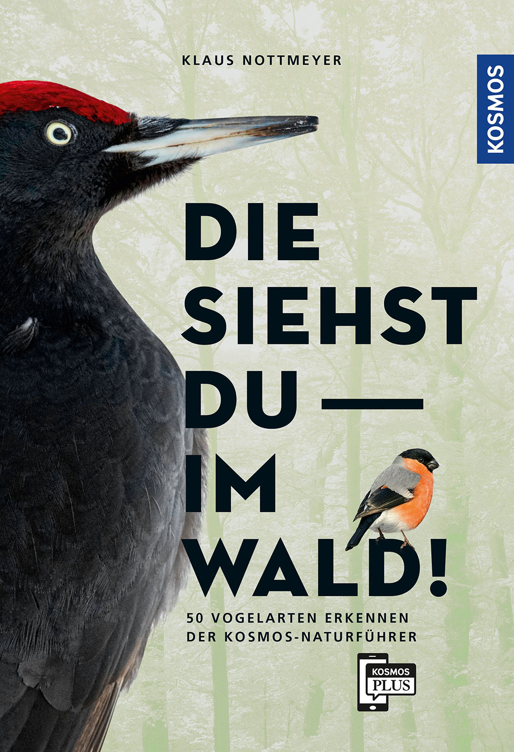 You'll see them in the forest! Identify 64 bird species
