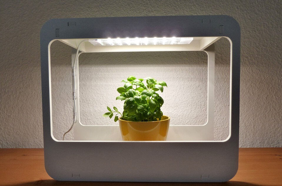 Gärtnern in der Wohnung