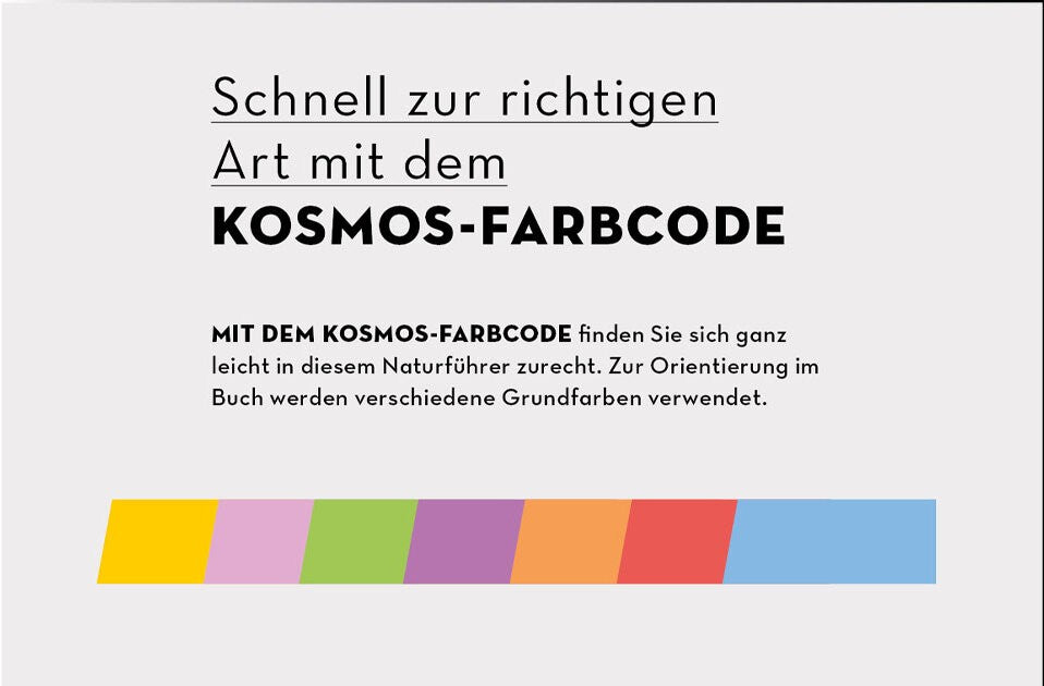 Der KOSMOS Farbcode