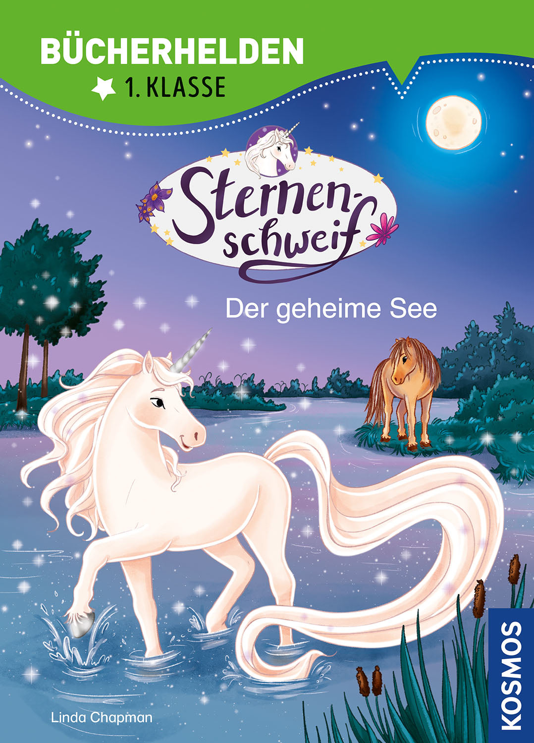 Star Tail, Book Heroes 1st Grade,14, The Secret Lake