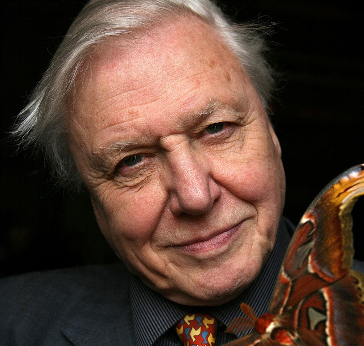 Über den Autor