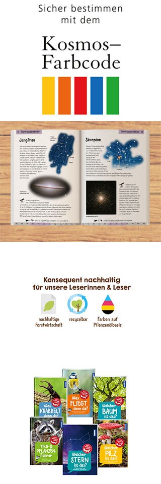 Welcher Stern ist das? Kindernaturführer Banner