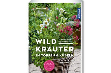 Mein essbarer Wildkräuterbalkon