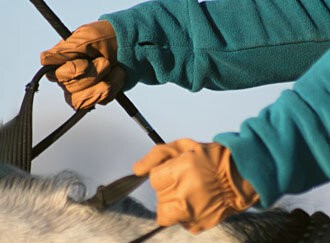 Reitstunden vielfältig gestalten