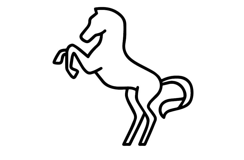 Erfahrungen des großen Reitmeisters