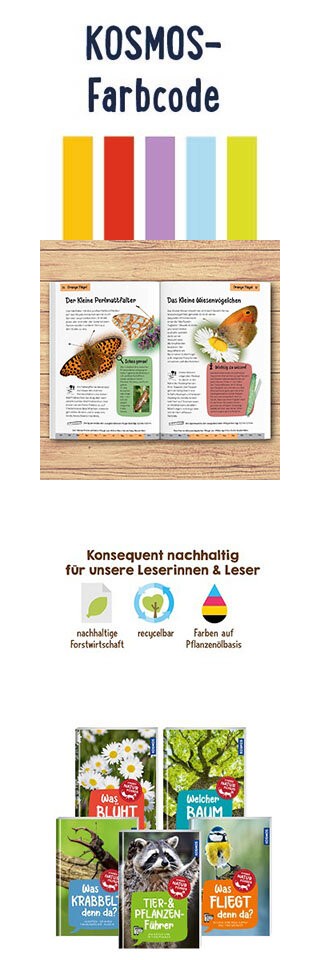 Welcher Schmetterling ist das? Kindernaturführer Banner