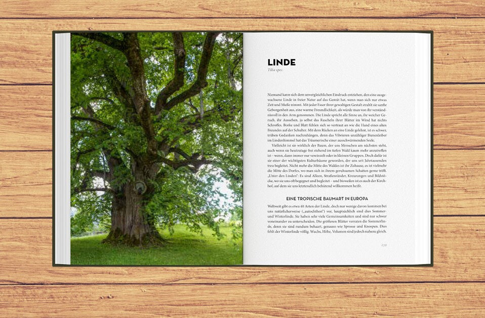 25 Bäume unserer Heimat
