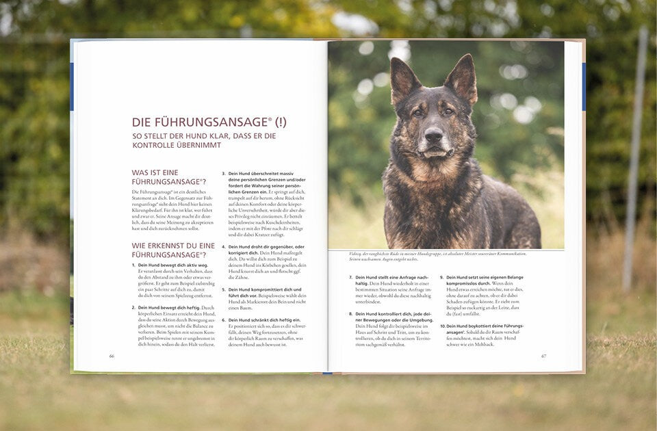 Die vier Führungsgesten verstehen
