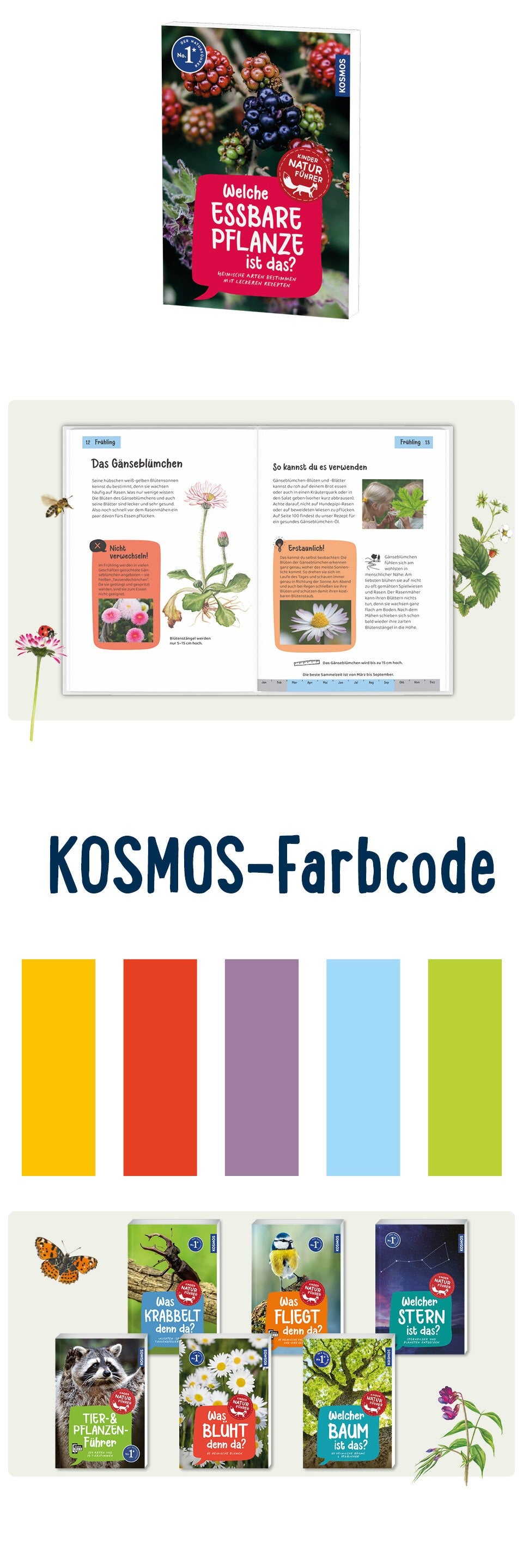 Welche essbare Pflanze ist das? Kindernaturführer Banner