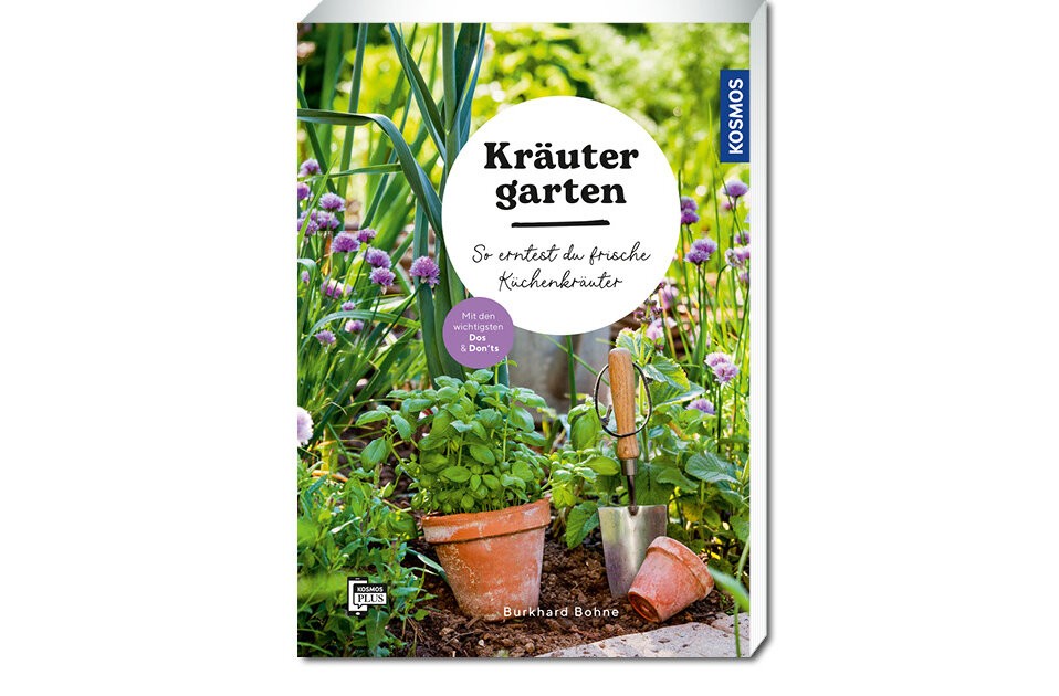 Kräuter im Garten selber anbauen