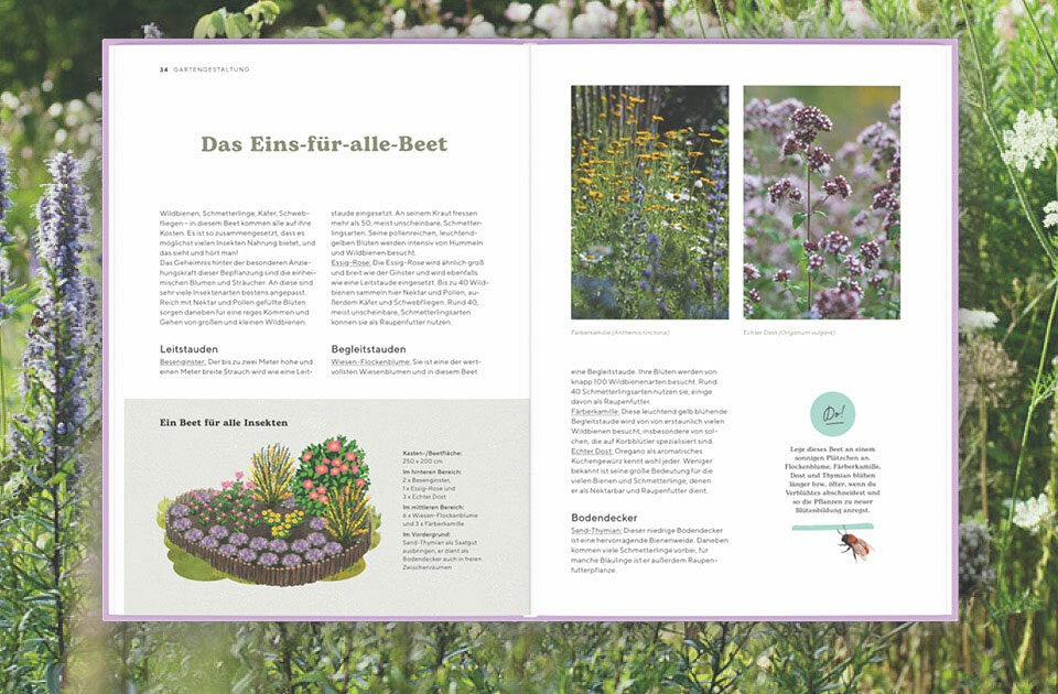 So wird dein Garten zur Oase für Insekten