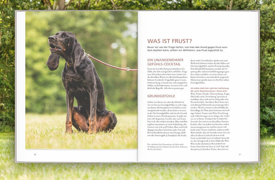 Selbstregulation bei Hunden erfolgreich aufbauen