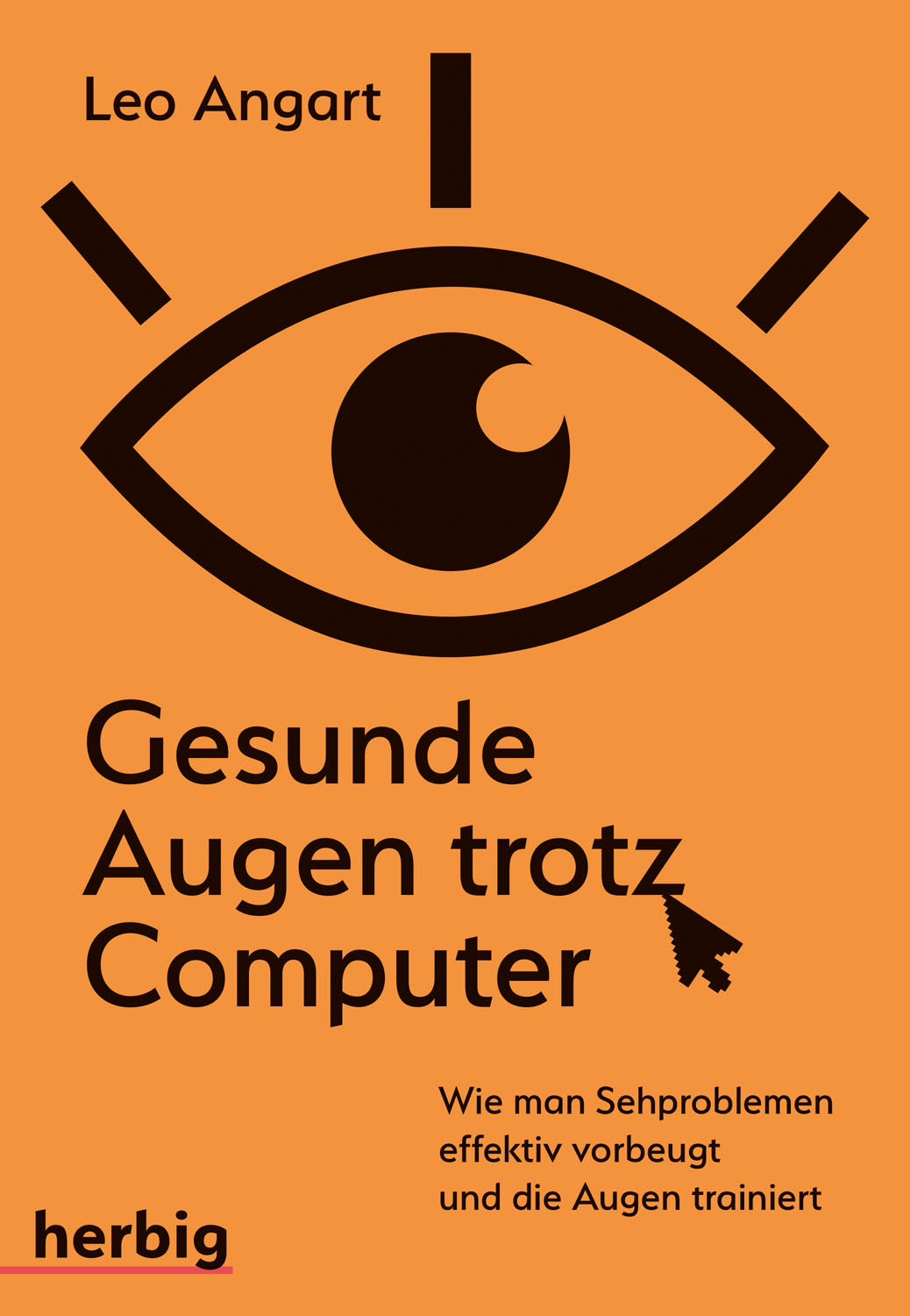Healthy Eyes Despite Computer Use