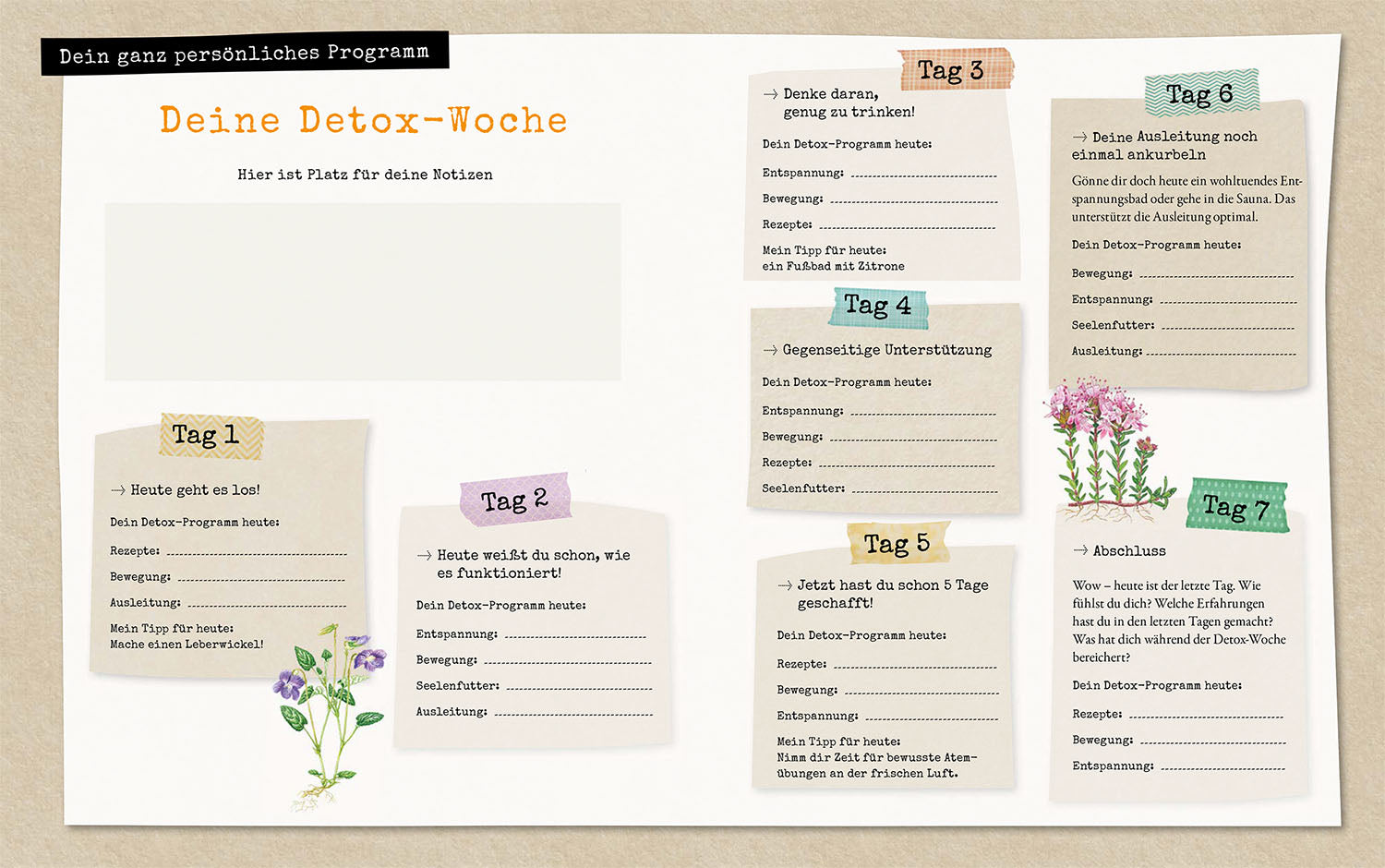 Der Stoffwechsel-Kalender