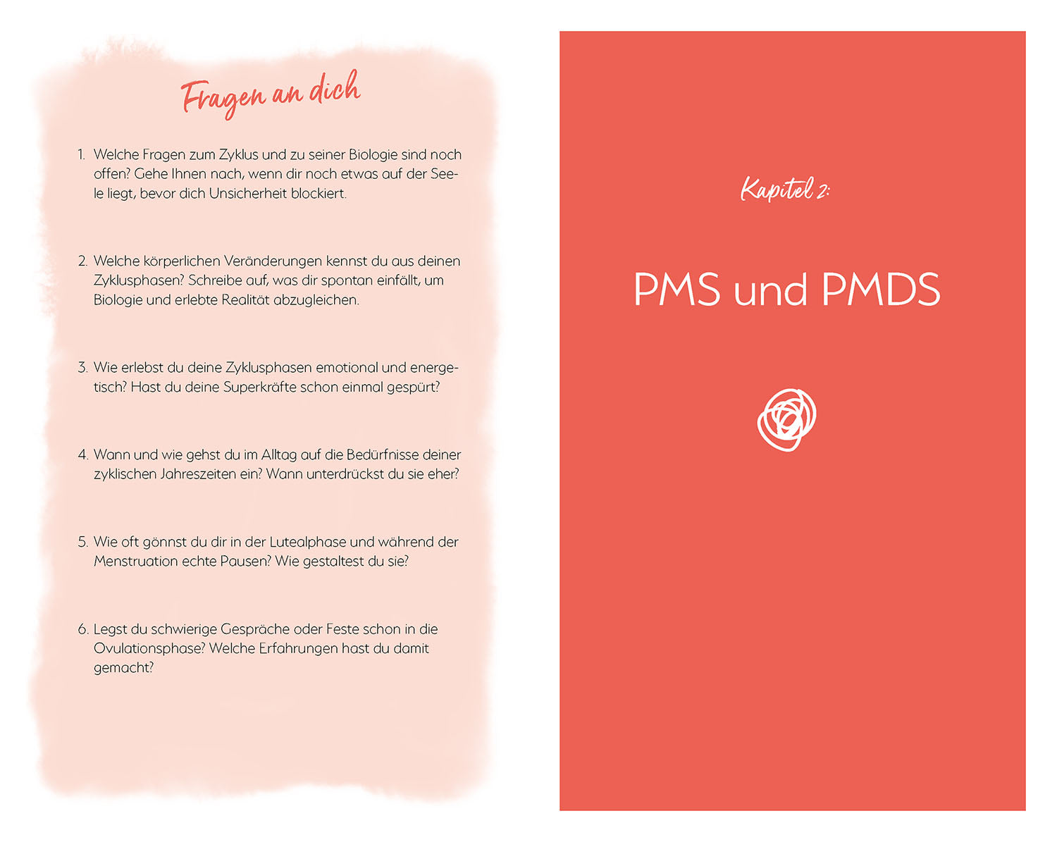 Mein PMS und ich