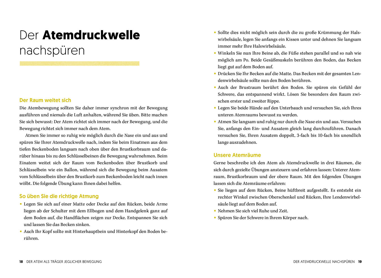 The Back Recovery Book