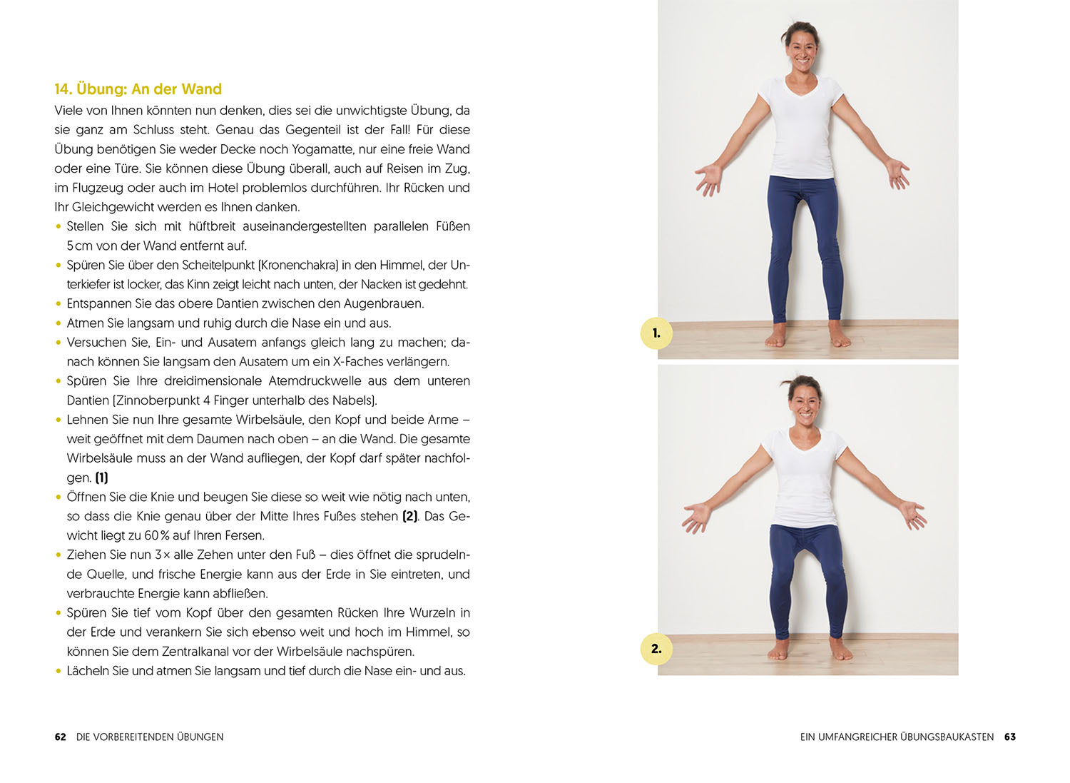 The Back Recovery Book