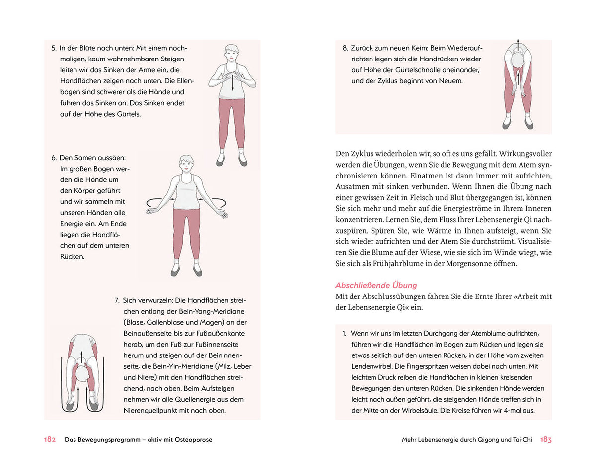 Das hilft bei Osteoporose - Alles zu Ursachen, Diagnostik und ganzheitlicher Behandlung