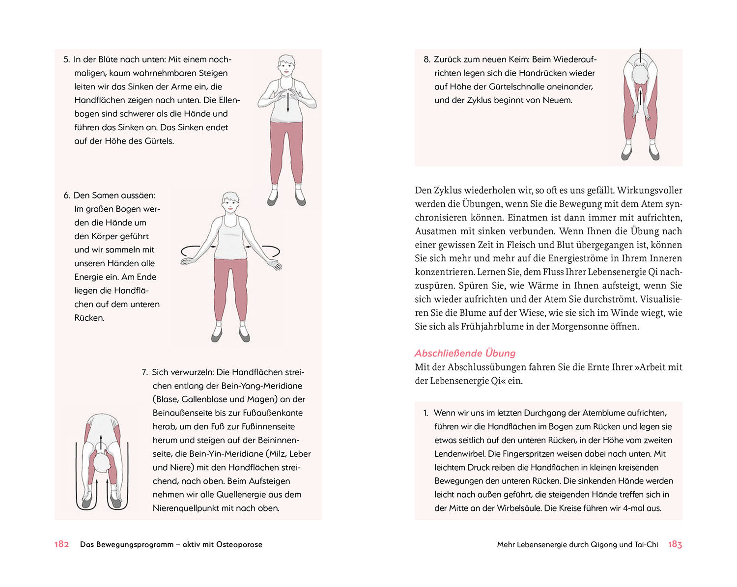 Das hilft bei Osteoporose - Alles zu Ursachen, Diagnostik und ganzheitlicher Behandlung