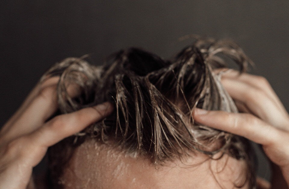 Ihre Haare im Fokus
