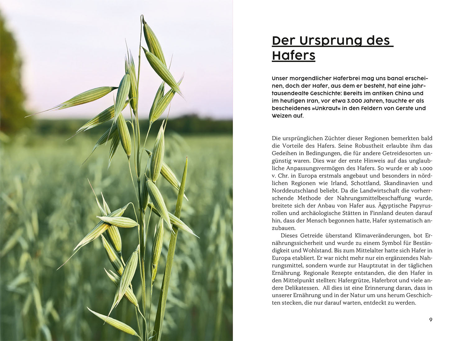 Gesund mit Hafer
