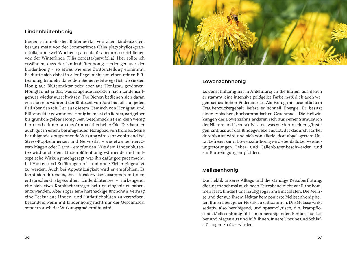 Gesund mit Honig