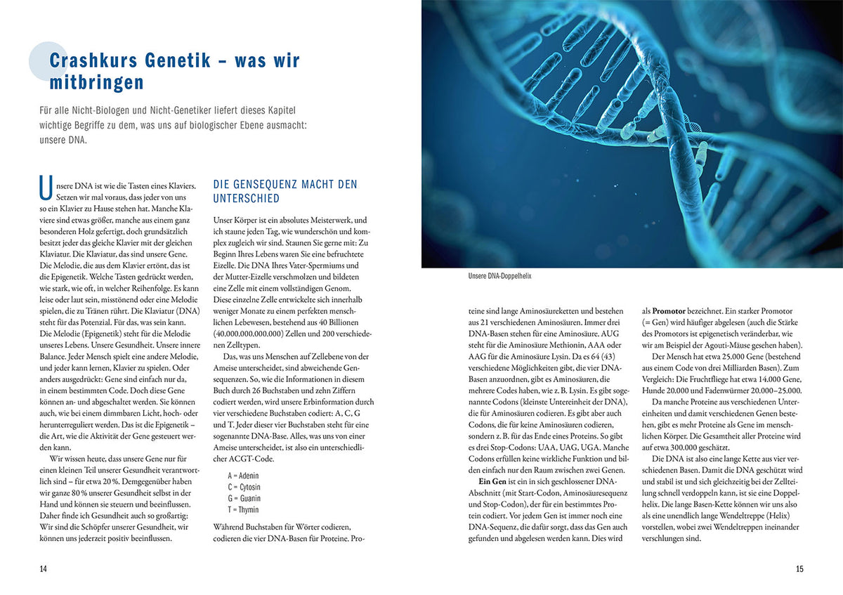 The Epigenetic Code