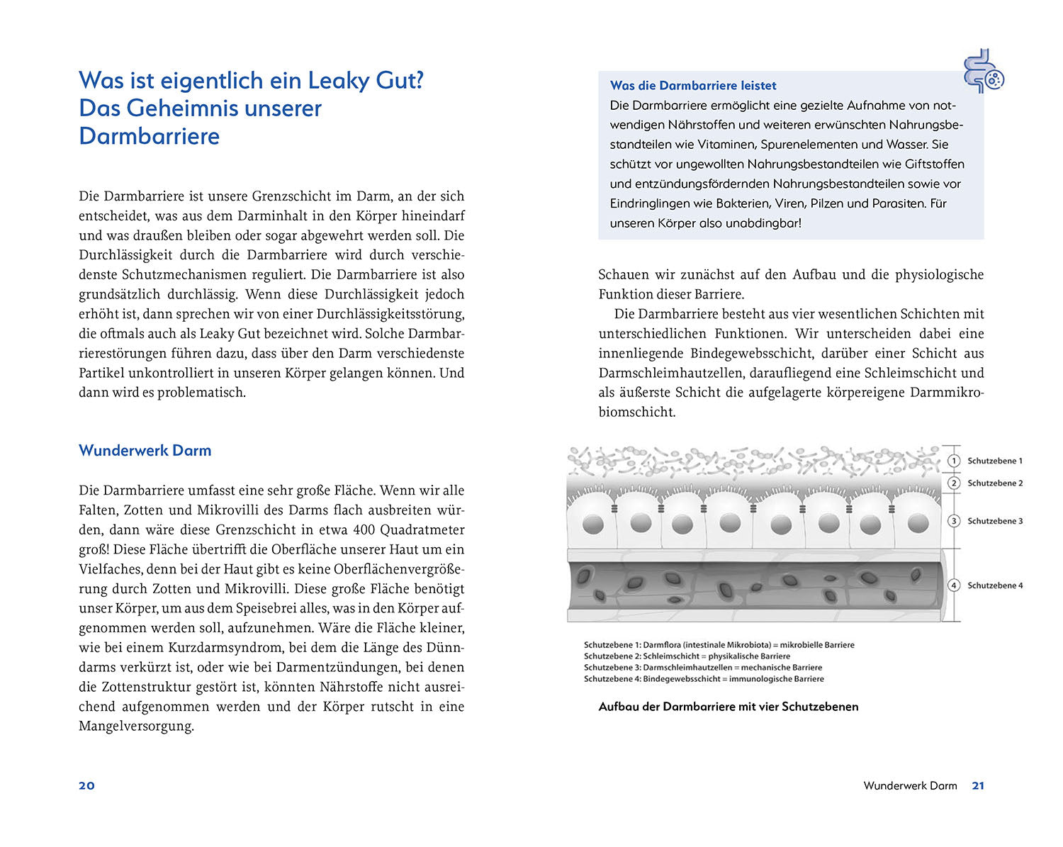 Leaky Gut and SIBO