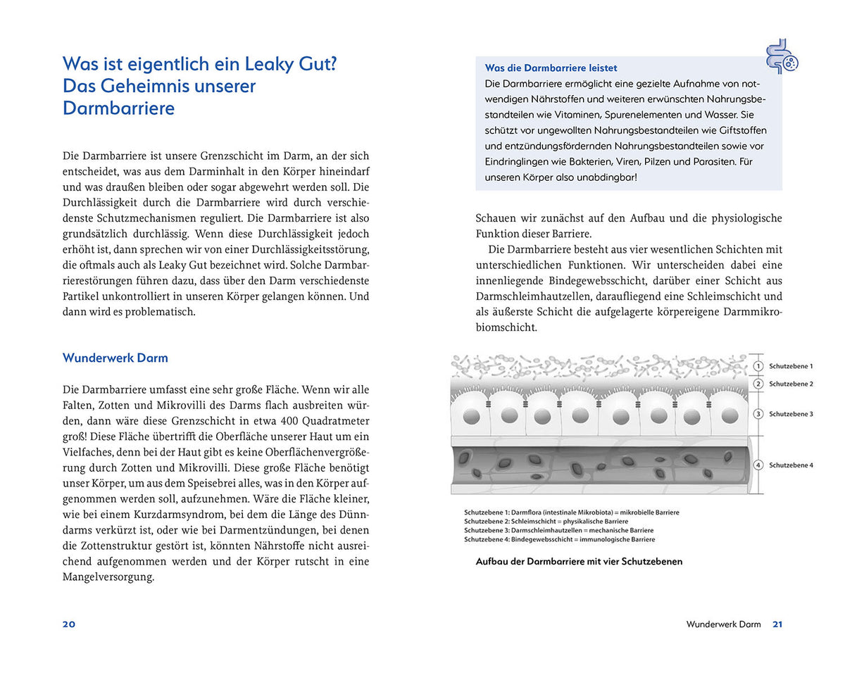 Leaky Gut and SIBO