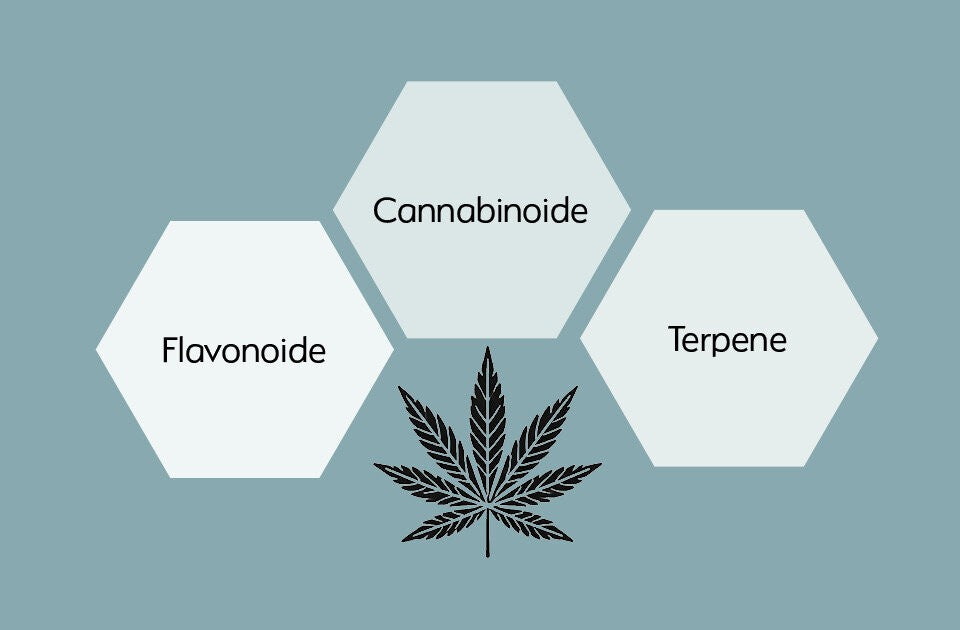 Cannabis-Wirkstoffe und ihre Anwendung im Alltag